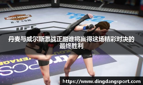 k1十年体育品牌丹麦与威尔斯激战正酣谁将赢得这场精彩对决的最终胜利